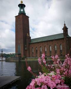 1-19985732_820433754790713_3585019428288331776_n